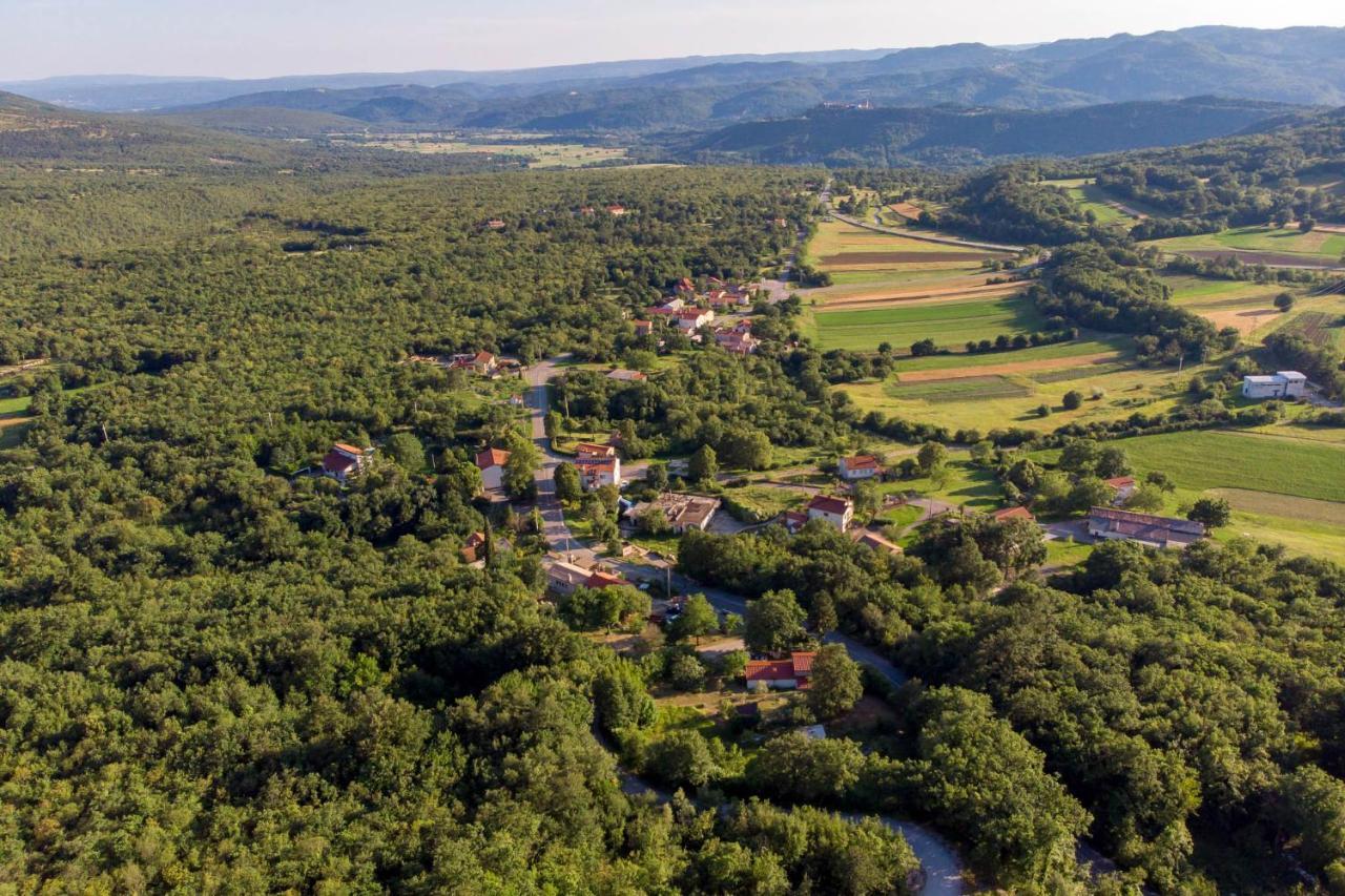 Villa Aurania Vranje Exteriör bild